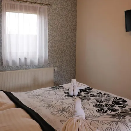 Anesis - Studia 3*