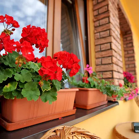 Anesis - Studia Turčianske Teplice