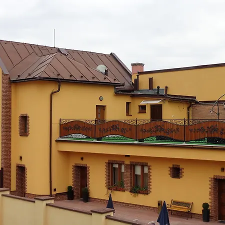 Anesis - Studia