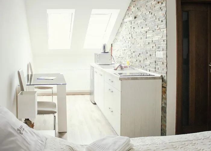 Penzion Anesis - Studia Guest house Turcianske Teplice